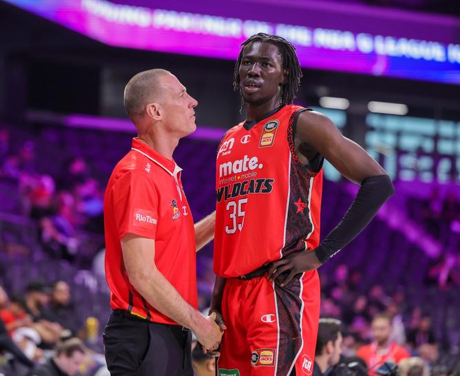 David Okwera will be back in Wildcats red next season.