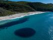 Large school of salmon pictured off the Great Southern coast.