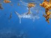 A huge tiger shark approached two WA divers when they were spearfishing of the coast of Red Bluff.