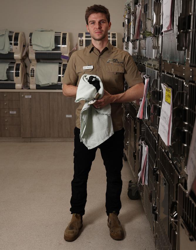 WA Wildlife CEO Dean Huxley with an injured magpie at the vet hospital in Bibra Lake.