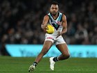 Geelong players have been told to ignore all the fuss surrounding Port's Willie Rioli. (James Ross/AAP PHOTOS)